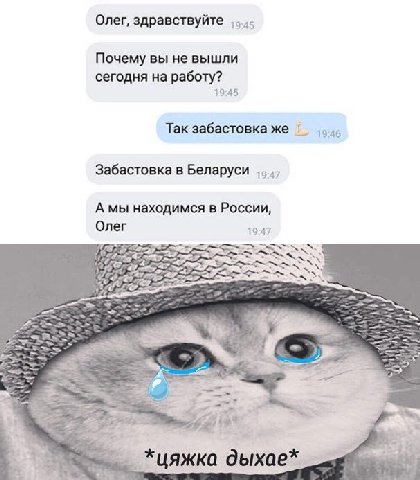 Олег, здравствуйте Почему вы не вышли сегодня на работу? 19:45 Так забастовка же Забастовка в Беларуси 47 А мы находимся в России, Олег 19:47 дыхае*
