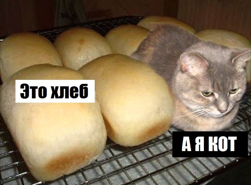 Это хлеб