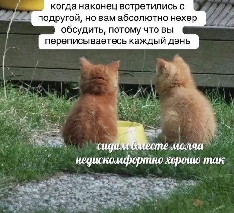 когда наконец встретились с подругой, но вам абсолютно нехер обсудить, потому что вы переписываетесь каждый день 1 недискомфортно хорошо так