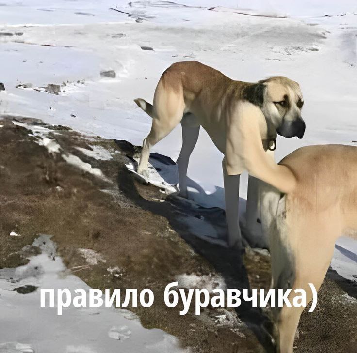 5 4 39 a <3 буравчика)