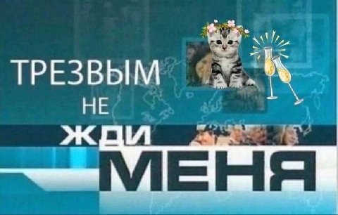 ТРЕЗВЫМ НЕ жди