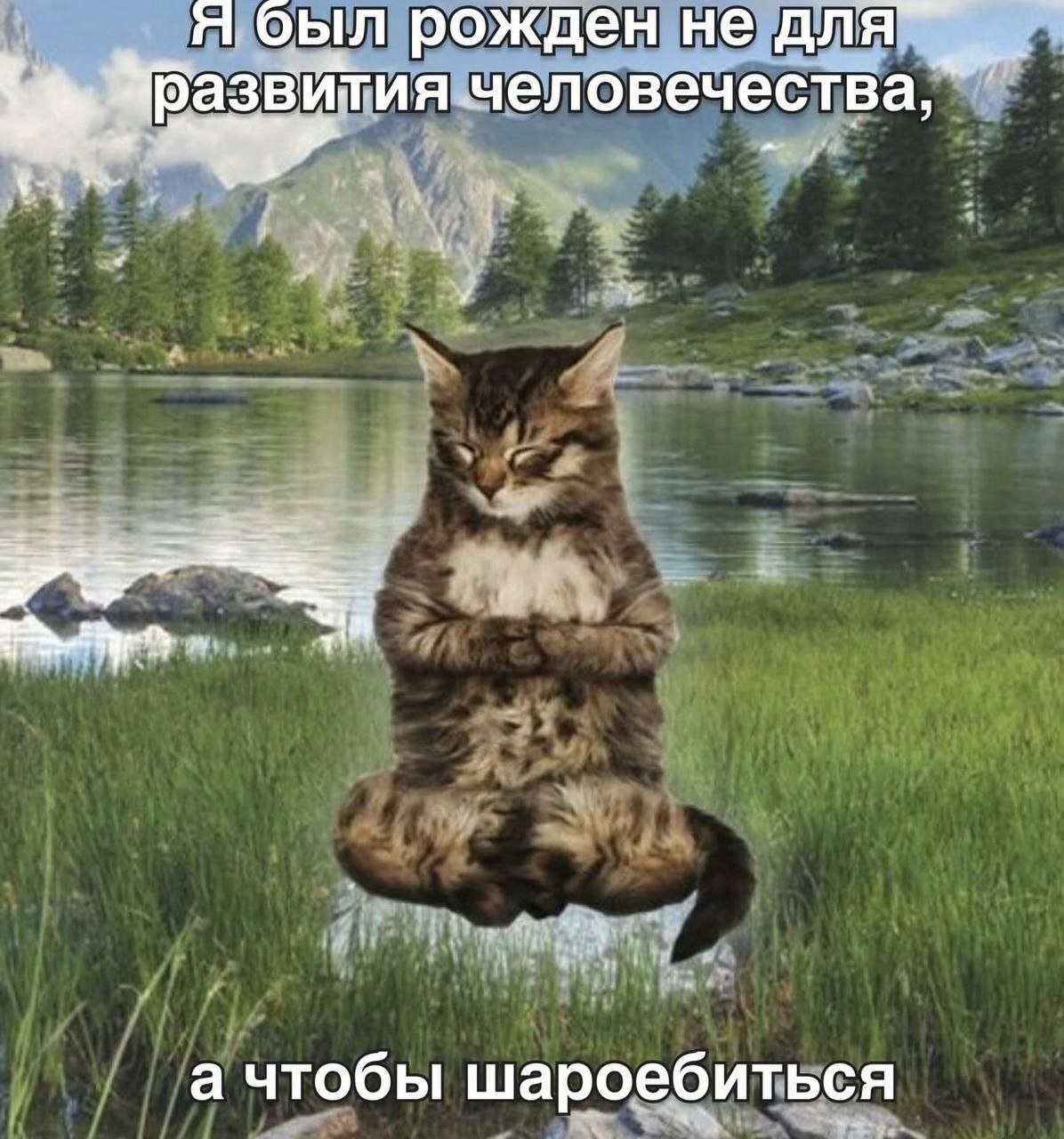 Я оыл рожден не для’. развития человечества, 4 а чтобы шароебиться