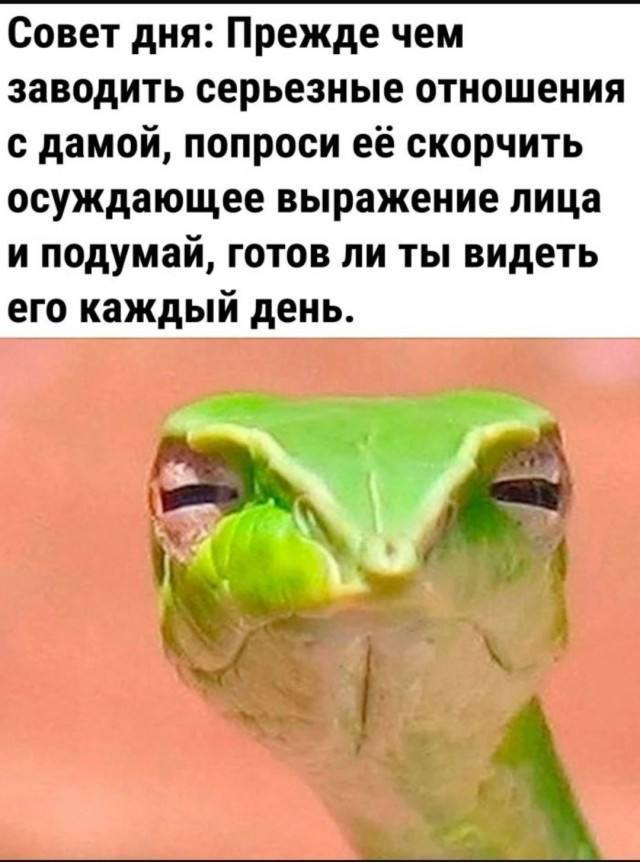 Совет дня: Прежде чем заводить серьезные отношения с дамой, попроси её скорчить осуждающее выражение лица и подумай, готов ли ты видеть его каждый день.