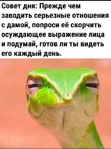 Совет дня: Прежде чем заводить серьезные отношения с дамой, попроси её скорчить осуждающее выражение лица и подумай, готов ли ты видеть его каждый день.