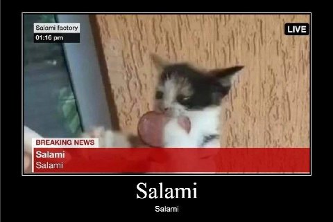 ЫМЕ 01:16 BREAKING NEWS Salami Salam! Salami Salami