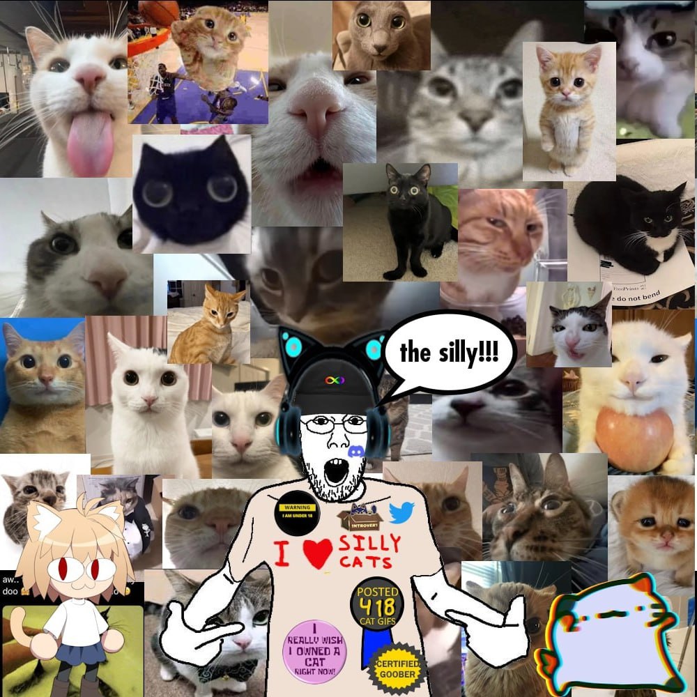 о. SILLY CATS a POSTED’ CAT GIF: 1 REALLY WISH)