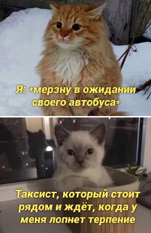 Я: *Mep3Hy в ожидании своего автобусах Таксист, который стоит рядом и ждет, когдау меня лопнет терпение