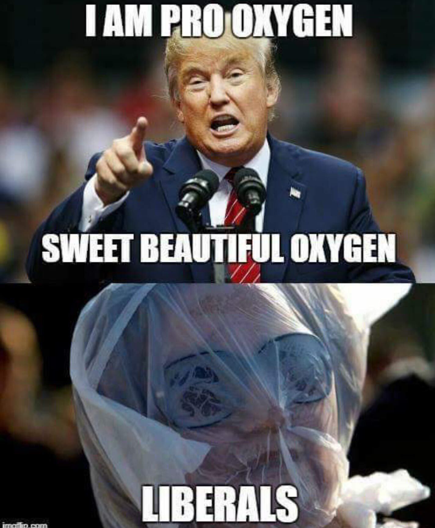 4 SWEET BEAUTIFUL OXYGEN LIBERALS