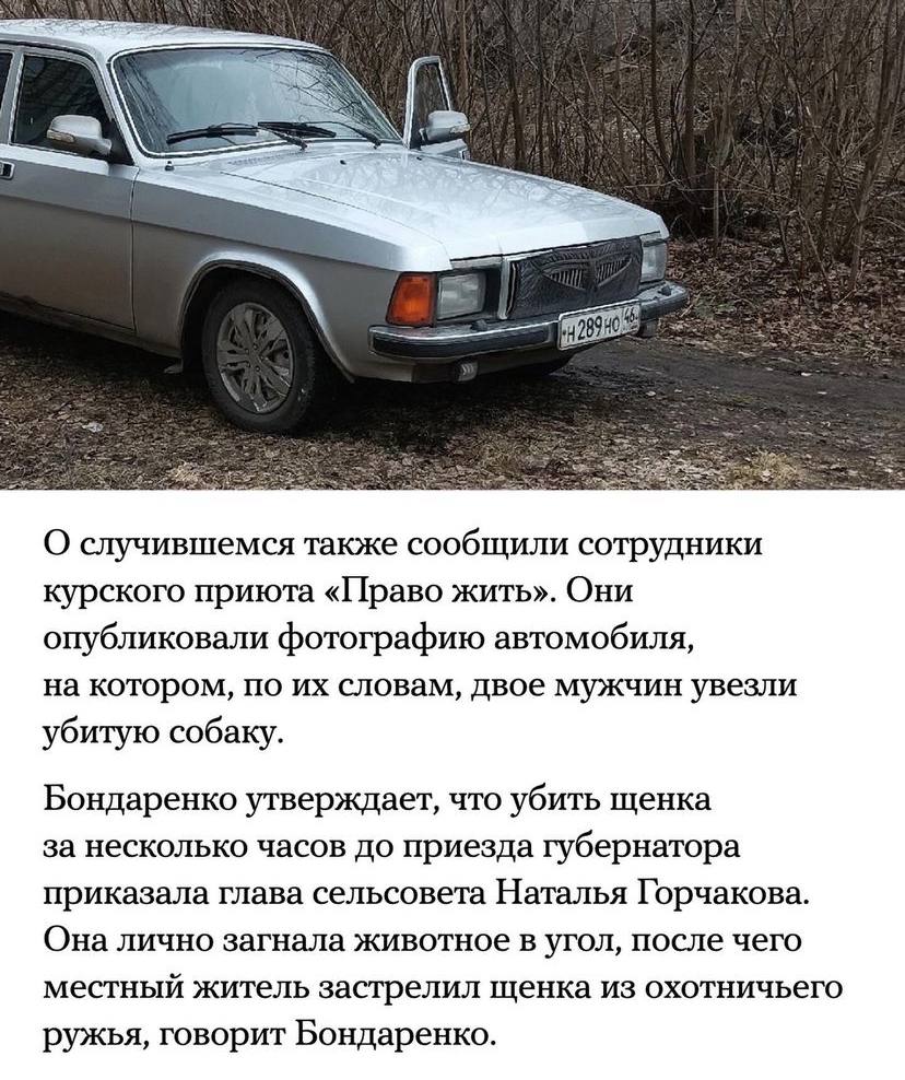 О случившемся также сообщили сотрудники курского приюта «Право жить». Они опубликовали фотографию автомобиля, на котором, по словам, двое мужчин увезли убитую собаку. Бондаренко утверждает, что убить 