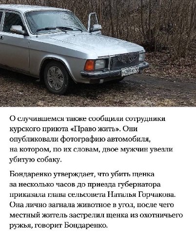 О случившемся также сообщили сотрудники курского приюта «Право жить». Они опубликовали фотографию автомобиля, на котором, по словам, двое мужчин увезли убитую собаку. Бондаренко утверждает, что убить 