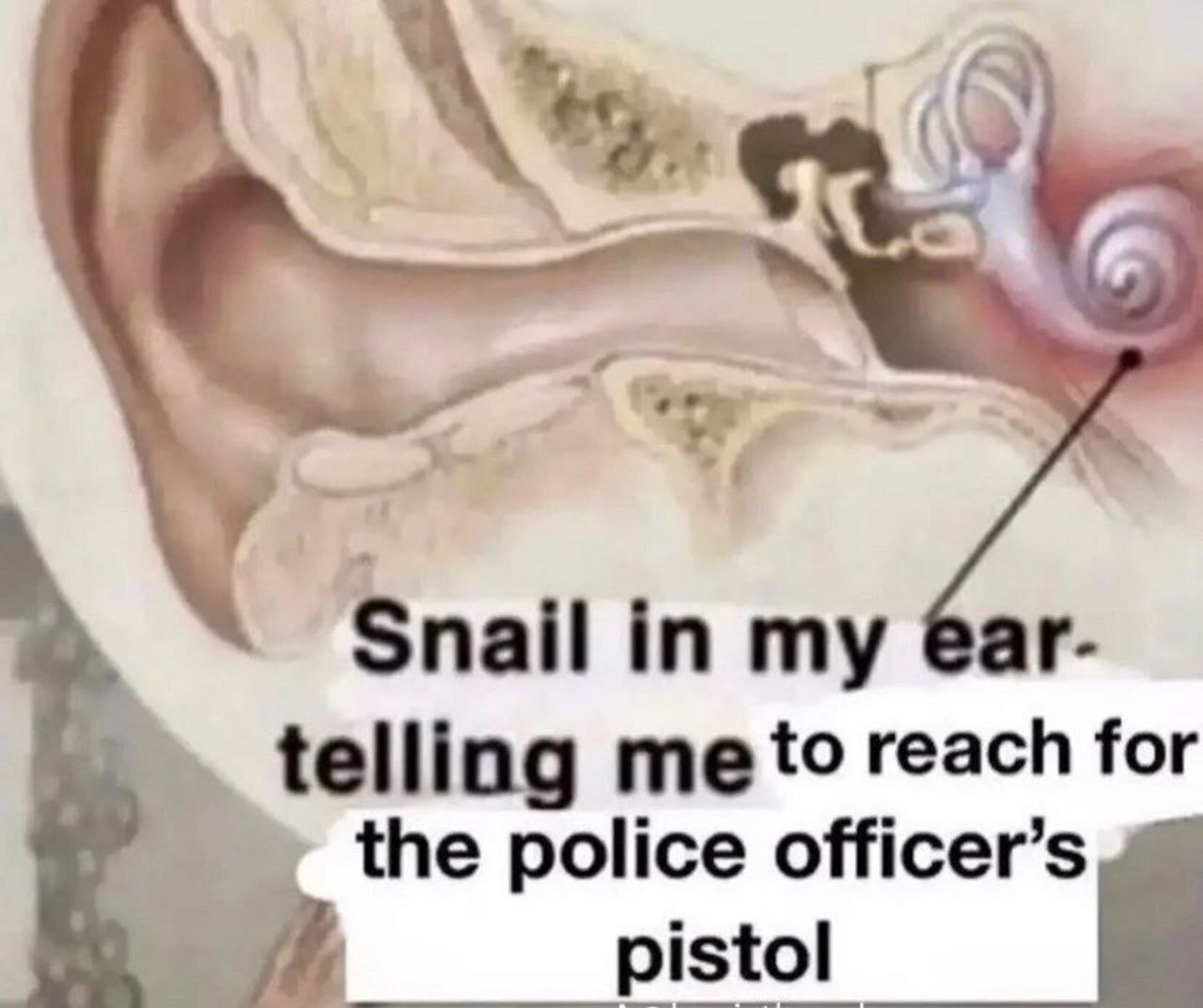 Snail in my telling reach for the police officer’s pistol