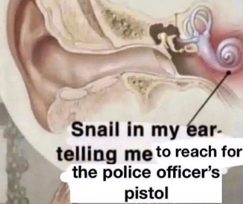 Snail in my telling reach for the police officer’s pistol