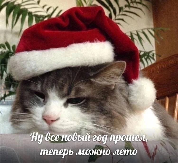 fly новый год теперь можно лето