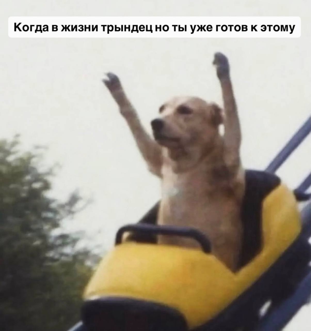 Когда в жизни трындец но ты уже готов к этому 4