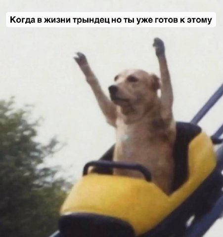 Когда в жизни трындец но ты уже готов к этому 4
