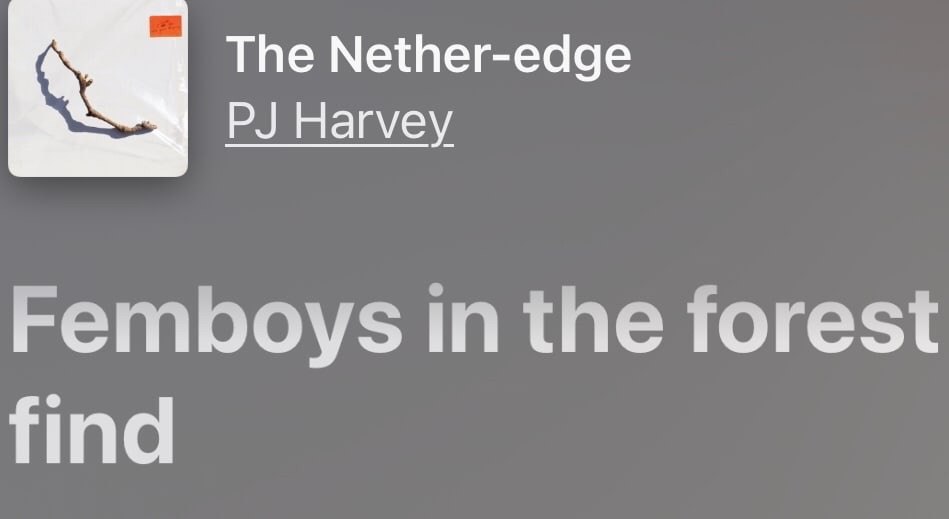 The Nether-edge Harvey Femboys in the forest find
