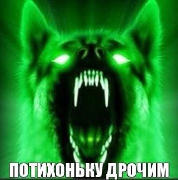 ДРОЧИМ