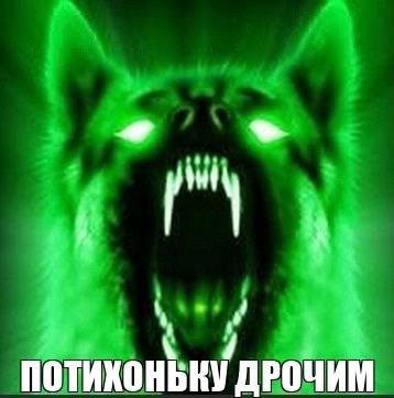 ДРОЧИМ
