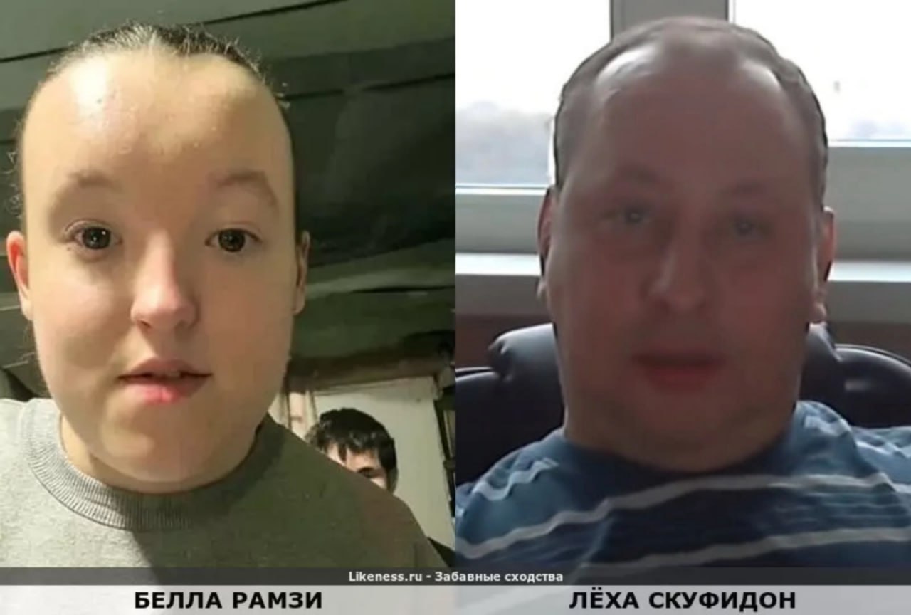 Likeness.ru Забавные сходства БЕЛЛА РАМЗИ ЛЕХА СКУФИДОН