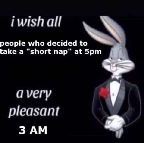 iwishall people who decided to take a “short пар" at а уегу pleasant 3 2