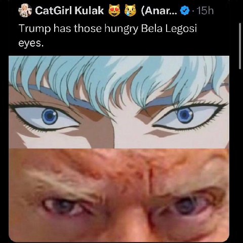 Kulak (Апаг... Trump has those hungry Bela Legosi eyes. 1077 bed