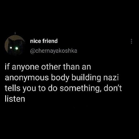 nice friend @chernayakoshka if anyone other than an anonymous body building nazi tells you to something, don't listen