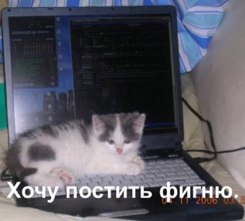 Хочу постить фигню.