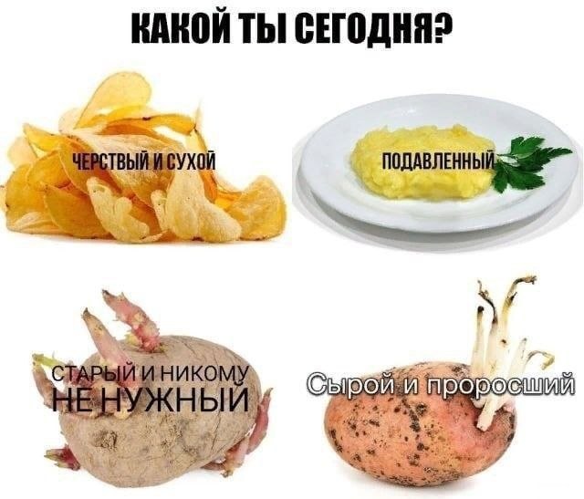 КАКОИ Thi у a СТАРЫЙ И НИКОМУ