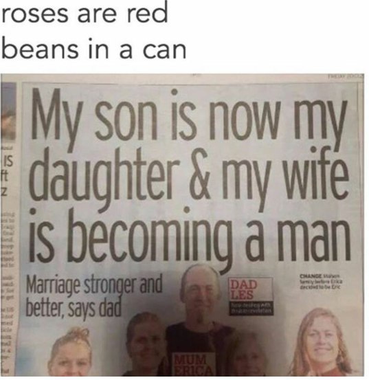 roses are rea beans in a can
