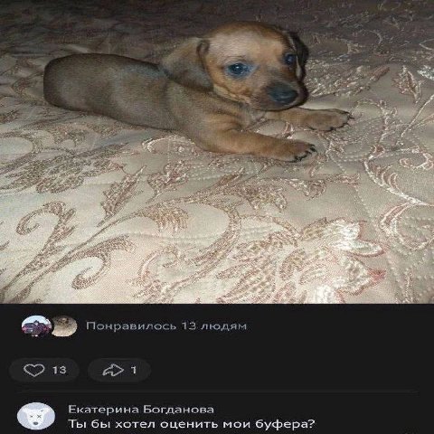 Понравилось 13 людям Екатерина Богданова Ты бы хотел оценить мои буфера?