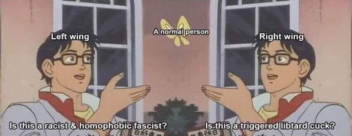 А Left wing Right wing А homophobic fascist? Is this a triggered libtard:cuck?