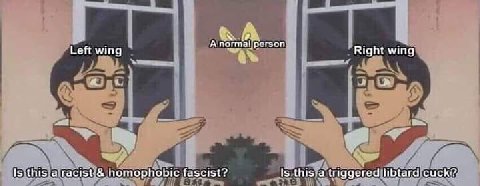 А Left wing Right wing А homophobic fascist? Is this a triggered libtard:cuck?