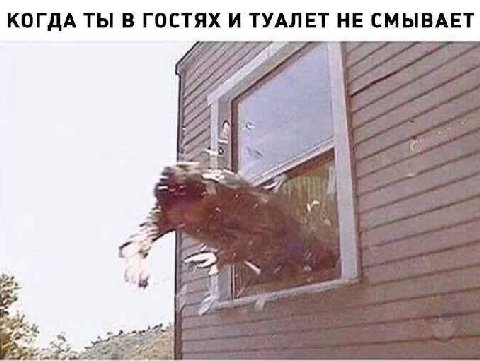 КОГДА ТЫ В ГОСТЯХ И ТУАЛЕТ НЕ СМЫВАЕТ А 225 ted
