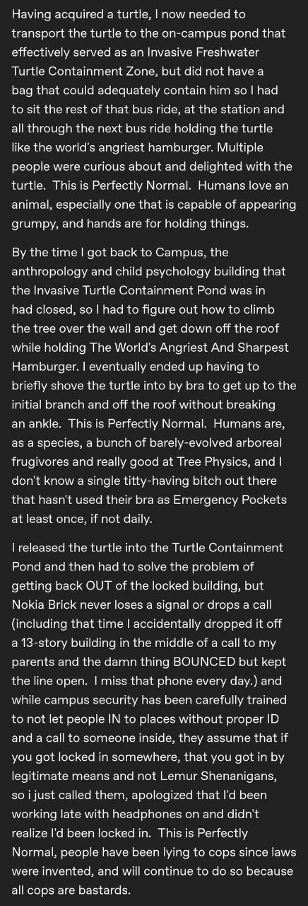 Having acquired a turtle, now needed to transport the turtle to the on-campus pond that effectively served as an Invasive Freshwater Turtle Containment Zone, but did not have a bag that could adequate