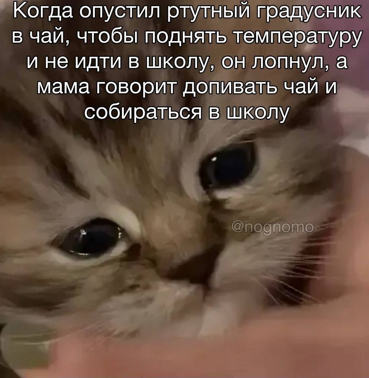 Когда опустил ртутный градусник в чай, чтобы поднять температуру и не идти в школу, он лопнул, а мама говорит допивать чай и собираться в школу