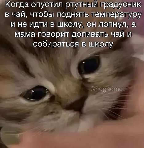 Когда опустил ртутный градусник в чай, чтобы поднять температуру и не идти в школу, он лопнул, а мама говорит допивать чай и собираться в школу