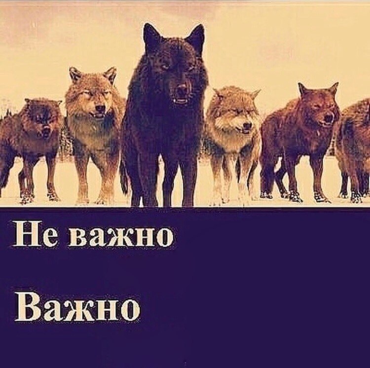 2$ 1 Не важно Важно
