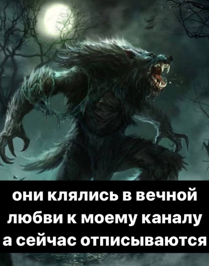 они клялись в вечной любви к моему каналу а сейчас отписываются