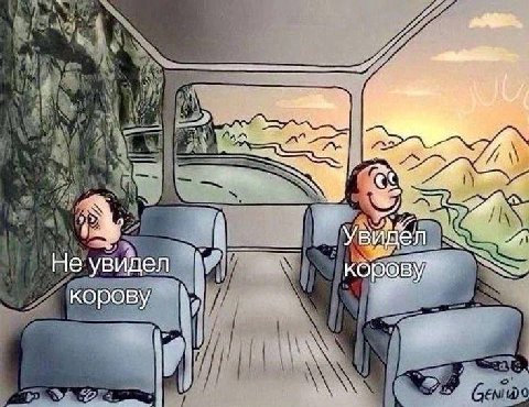 Cas видел He увидел корову