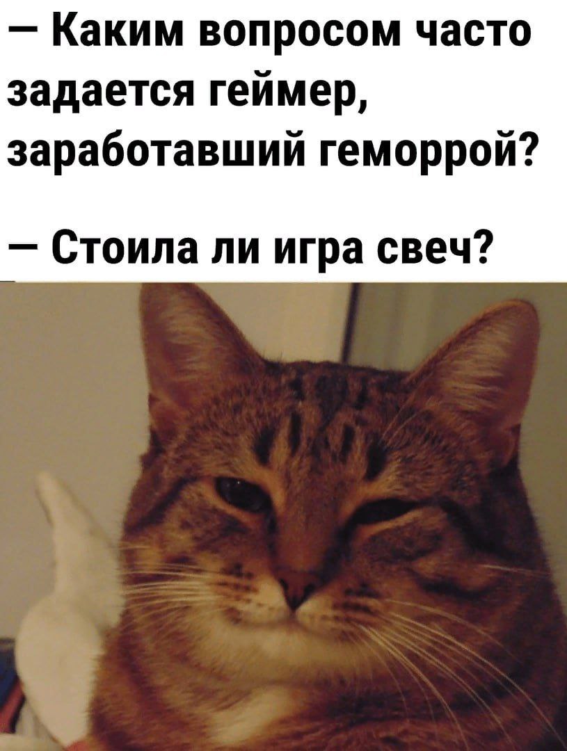 Каким вопросом часто задается геймер, заработавший геморрой? Стоила ли игра свеч?