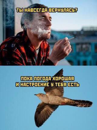 ВЕРНУЛАСЬ? a у ПОКА ПОГОДА ХОРОШАЯ. И НАСТРОЕНИЕ ТЕБЯ ЕСТЬ