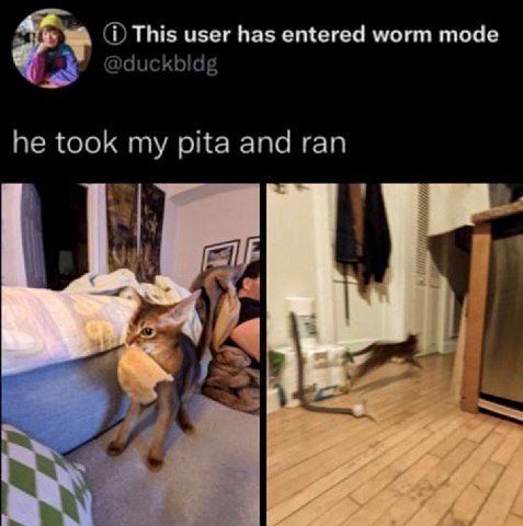 This user has entered worm mode @duckbidg he took my pita and ran у 24]