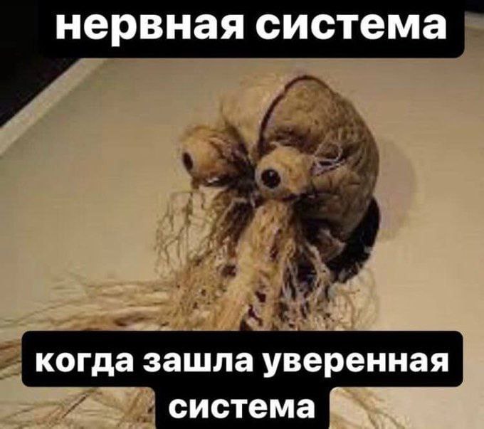 нервная система когда зашла уверенная система