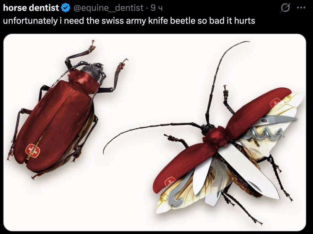 horse dentist the swiss army knife beetle so bad it hurts #4 4)