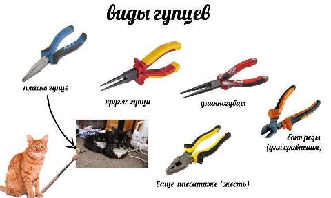 zynueb пласко кругло гупци длинногудиы боко резы (для сравнения) ваше пассатиже (жесть)