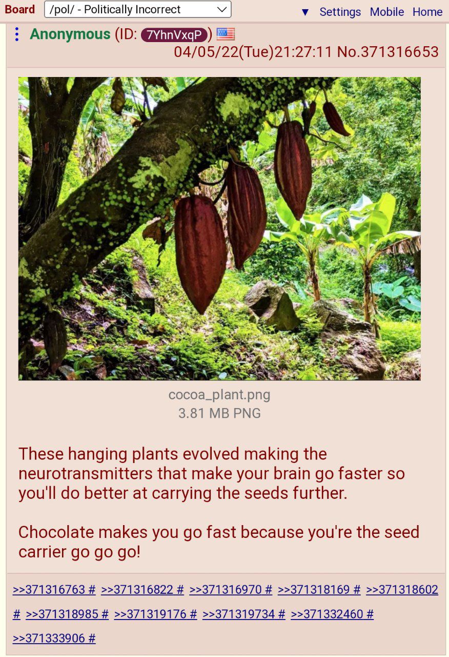 Not false. Caffeine improves bees' productivity and spacial awareness.

https://www.researchgate.net/publication/283051429_Caffeinated_Forage_Tricks_Honeybees_into_Increasing_Foraging_and_Recruitment_