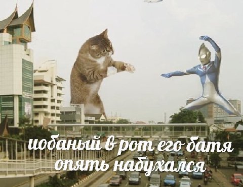 рот mae 6