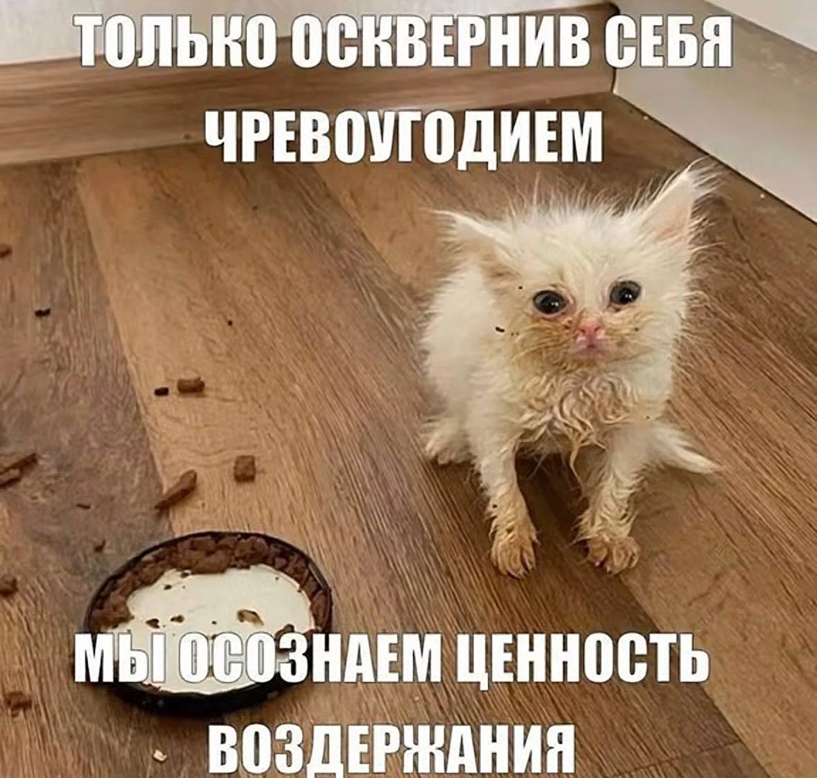 ОСКВЕРНИВ СЕБЯ ЧРЕВОУГОДИЕМ ЦЕННОСТЬ ВОЗДЕРЖАНИЯ