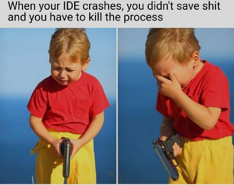 When your IDE crashes, you didn't save shit and you have to kill the process