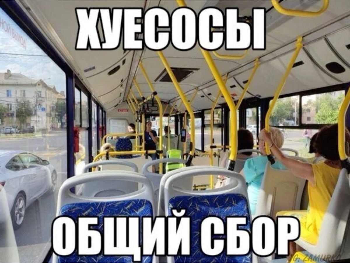 КУЕСОСЫ У: ОБЩИЙ